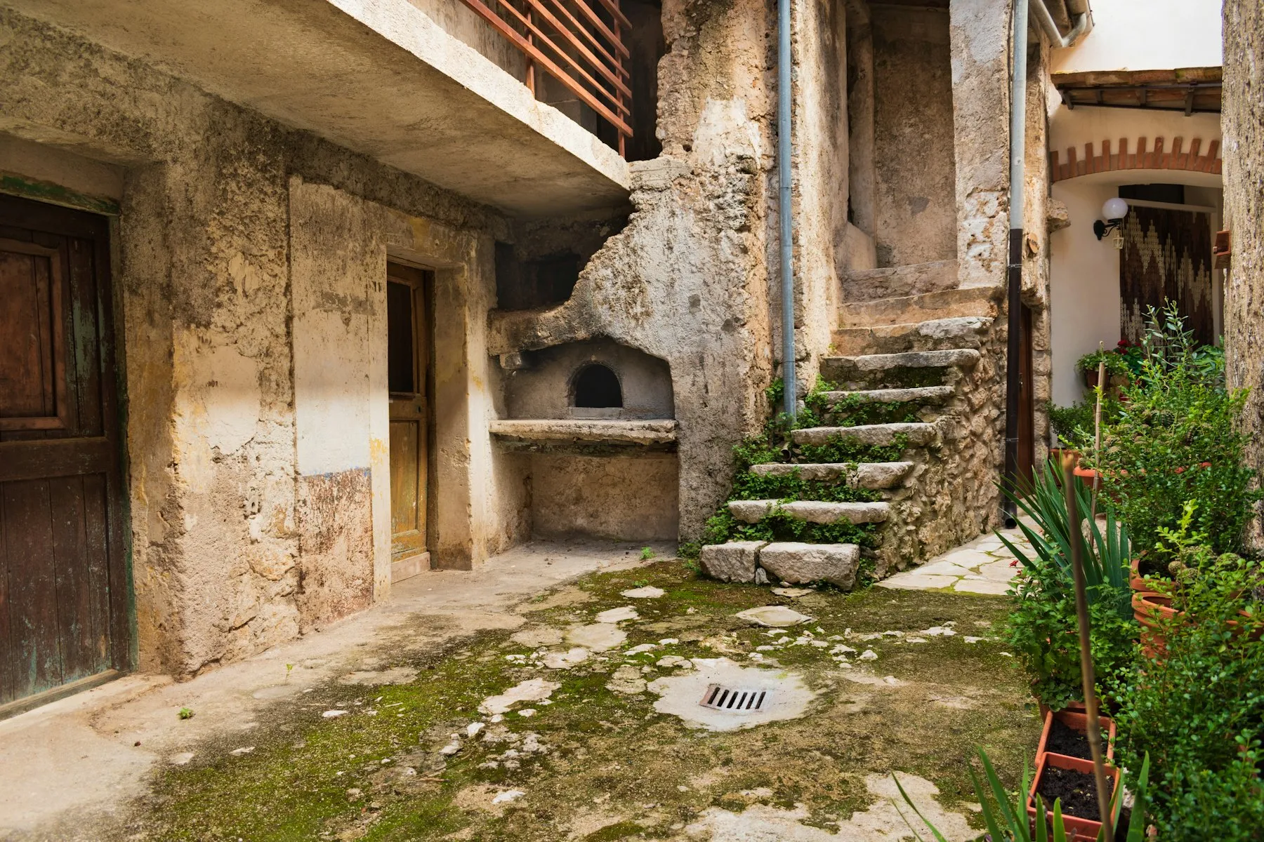 Erbe di campo e cucina